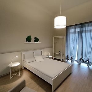 Estudio Estándar con Cama King